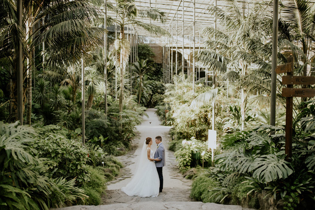 A newly married couple stands holding hands in a lush, green indoor tropical garden or greenhouse.